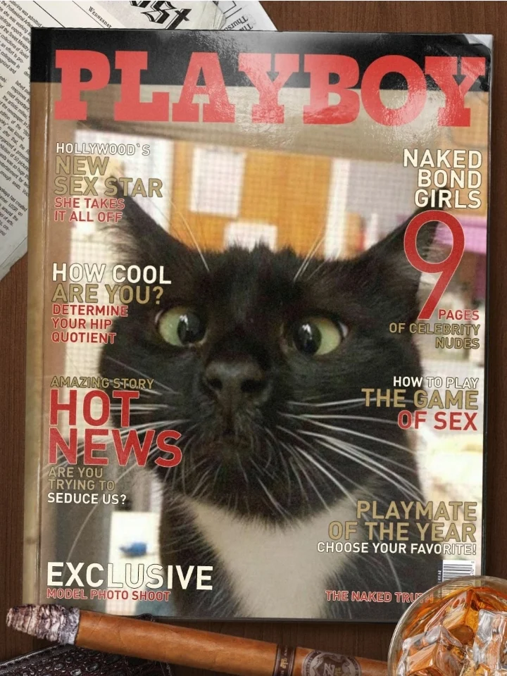 Screenshot_20230109-193315_Photo Lab.webp