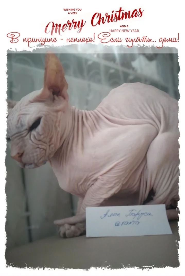 Screenshot_20230123-150648_Photo Lab.webp