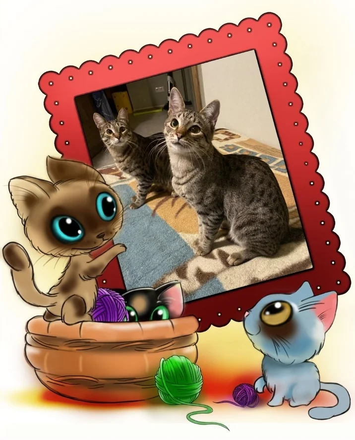 Screenshot_20230124-184500_Photo Lab.webp