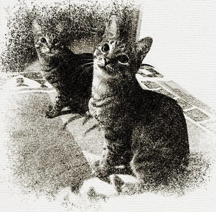 Screenshot_20230124-185215_Photo Lab.webp