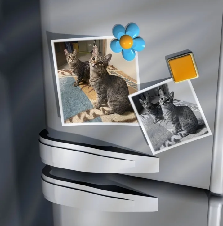 Screenshot_20230124-185752_Photo Lab.webp