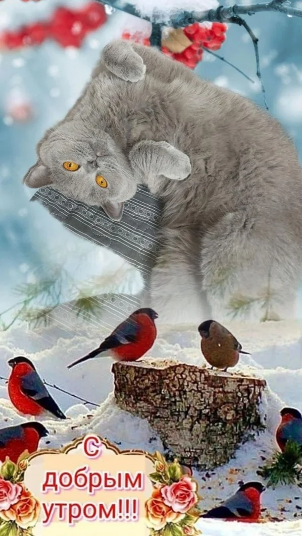 Screenshot_20230125-063240_Photo Lab.webp