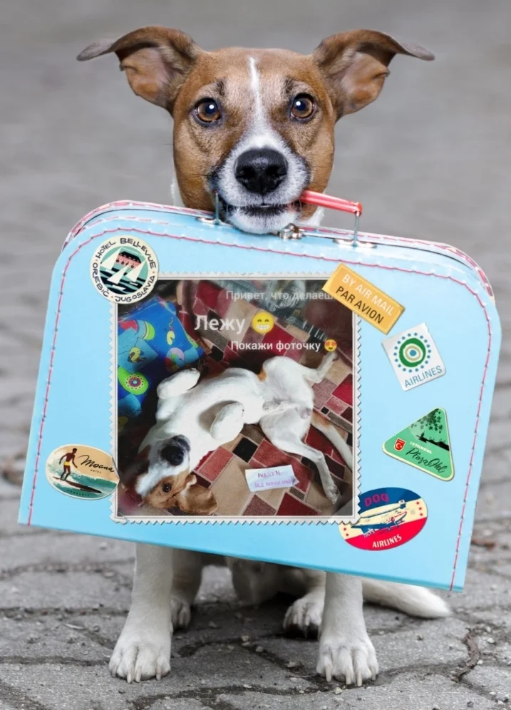 Screenshot_20230125-130345_Photo Lab.webp