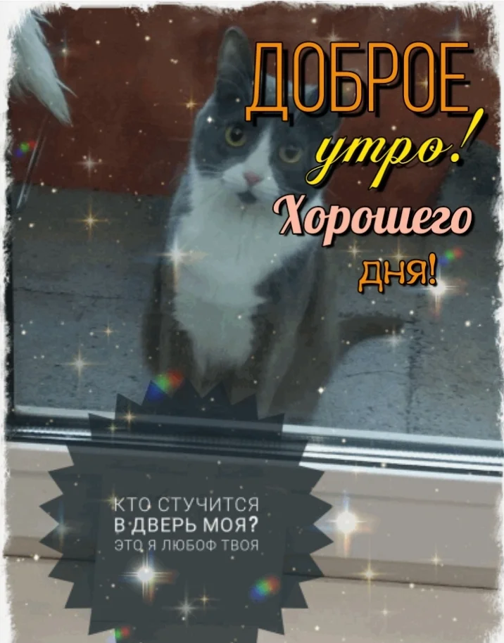 Screenshot_20230126-074352_Photo Lab.webp