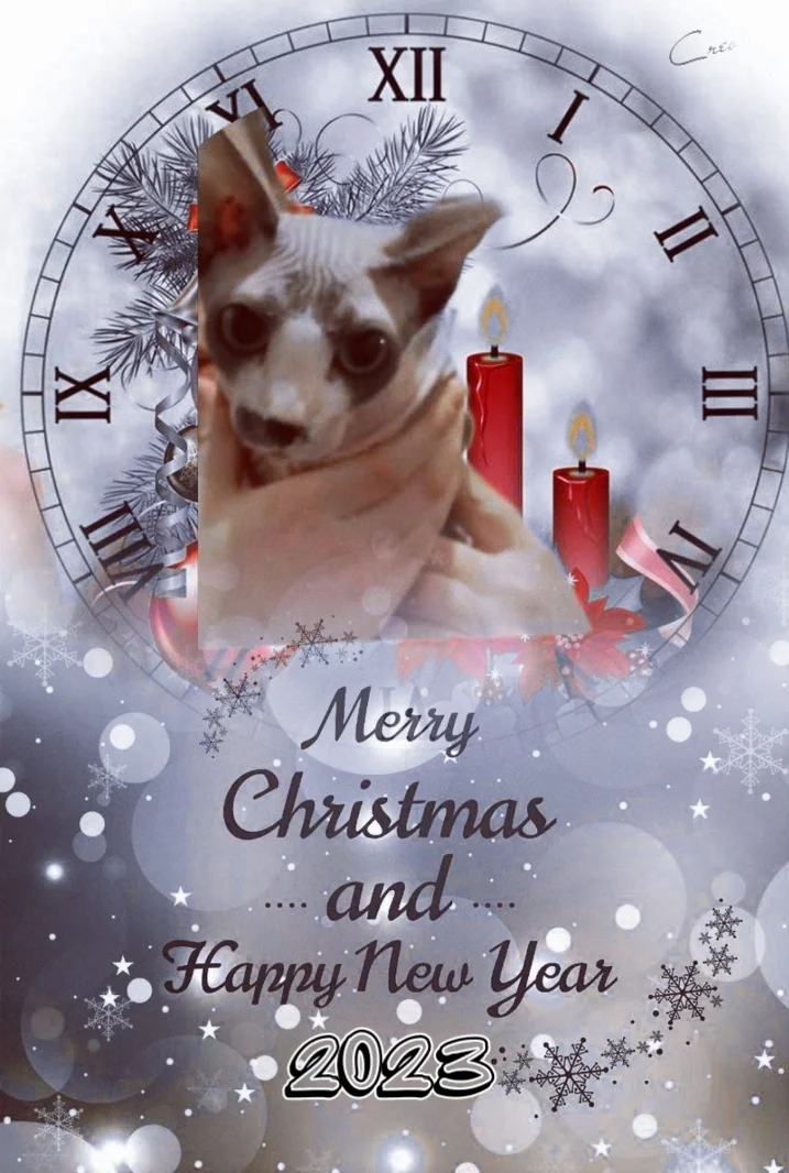 Screenshot_20230126-211138_Photo Lab.webp