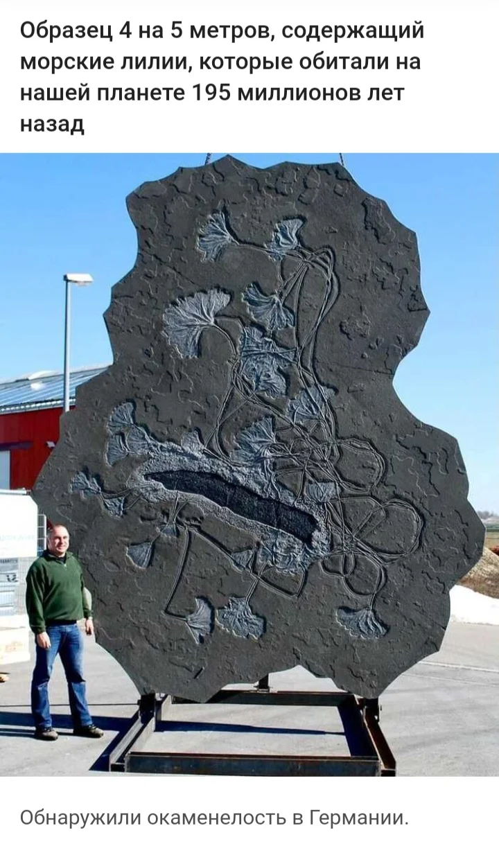 Screenshot_20230215-001507_Yandex Browser.jpg