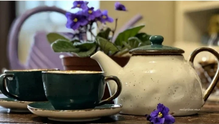 Screenshot_20230217-105018_Yandex Start.webp