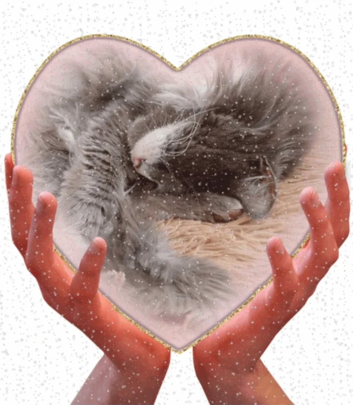 Screenshot_20230217-164601_Photo Lab.webp