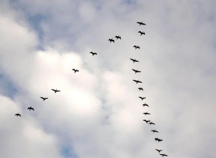 Screenshot_20230225-132349_Yandex Start.jpg