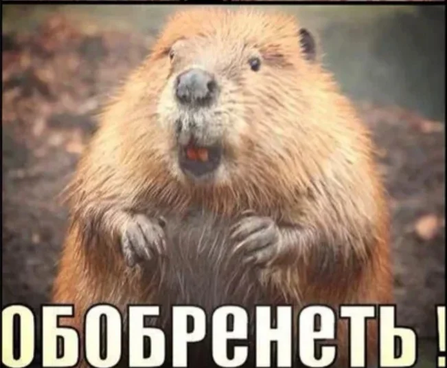 Screenshot_20230227-082413_Yandex Start.webp