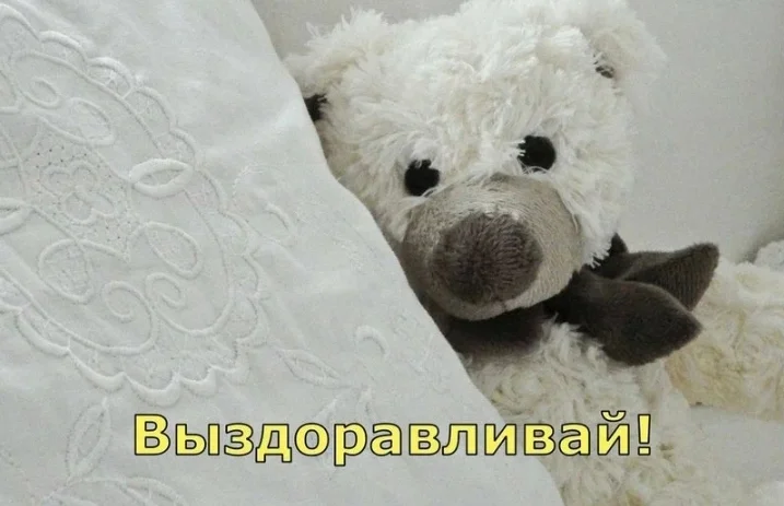 Screenshot_20230303-091921_Yandex Start.webp