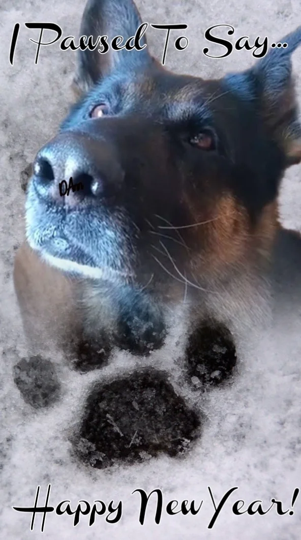 Screenshot_20230317-172042_Photo Lab.webp