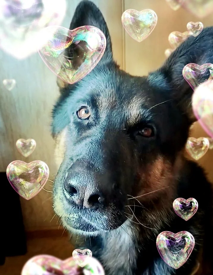 Screenshot_20230317-185740_Photo Lab.webp