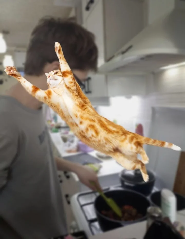 Screenshot_20230319-204350_Photo Lab.webp