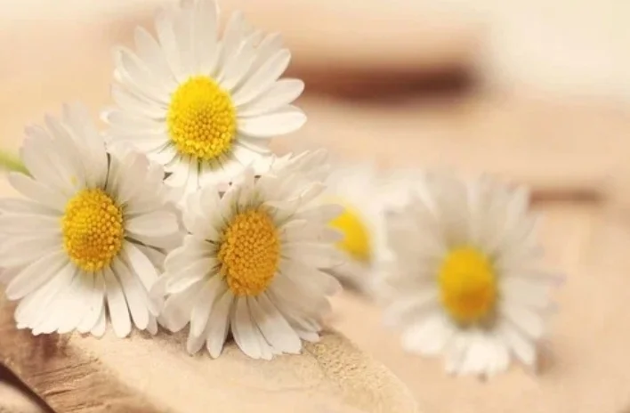 Screenshot_20230324-110618_Yandex Start.webp