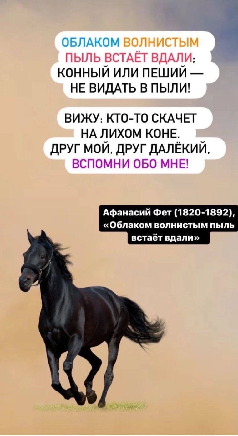 Screenshot_20230330_192335_VK.jpg