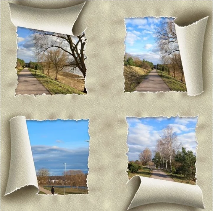 Screenshot_20230402-205411_Photo Lab.webp