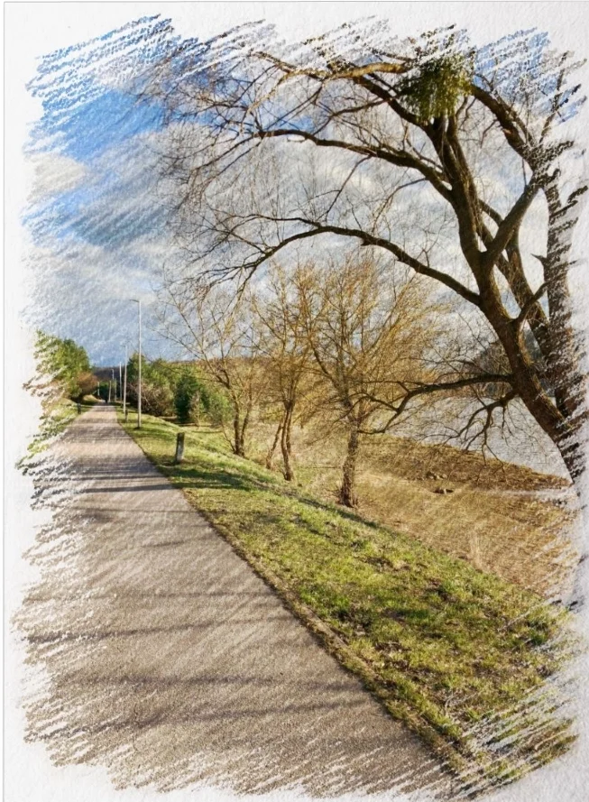 Screenshot_20230402-210133_Photo Lab.webp