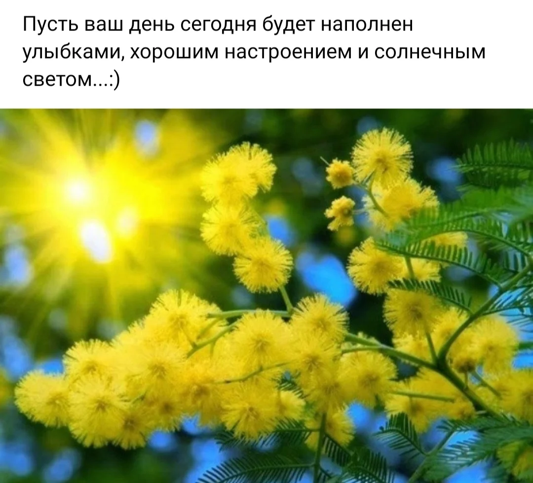 Screenshot_20230409_042744_VK.webp