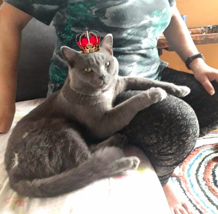 Screenshot_20230415-102420_Photo Lab.webp