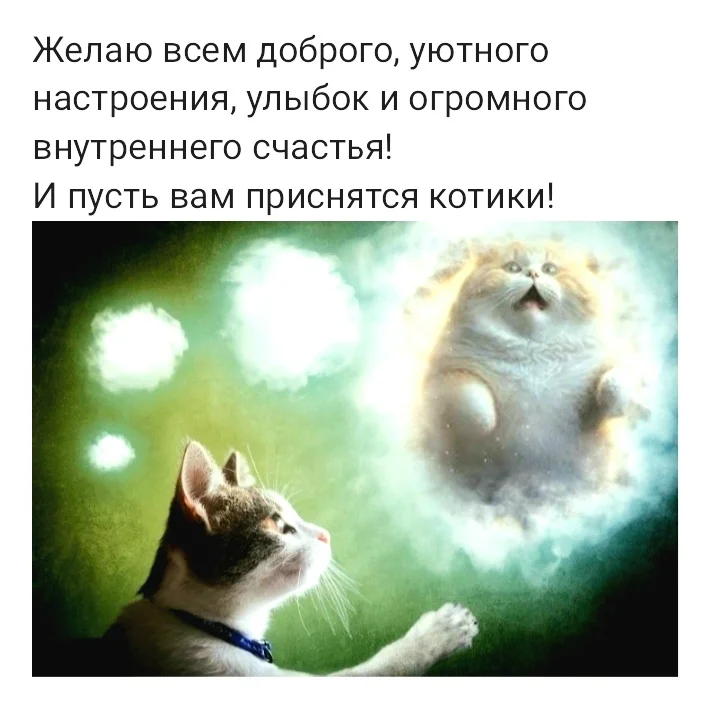 Screenshot_20230426-214319_Samsung Notes.webp