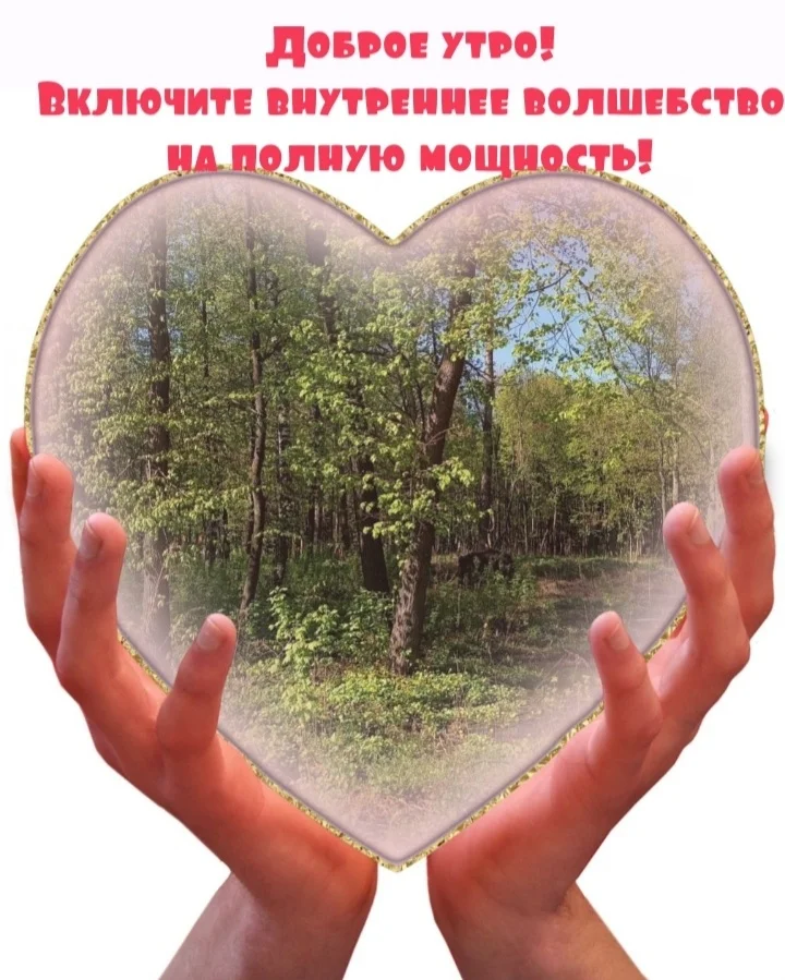 Screenshot_20230502-214936_Photo Lab.webp