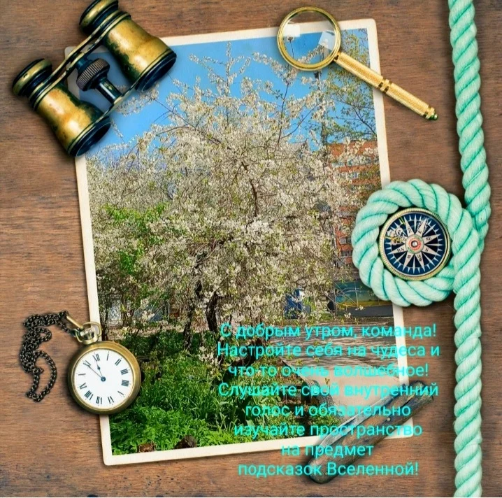 Screenshot_20230504-075744_Photo Lab.webp