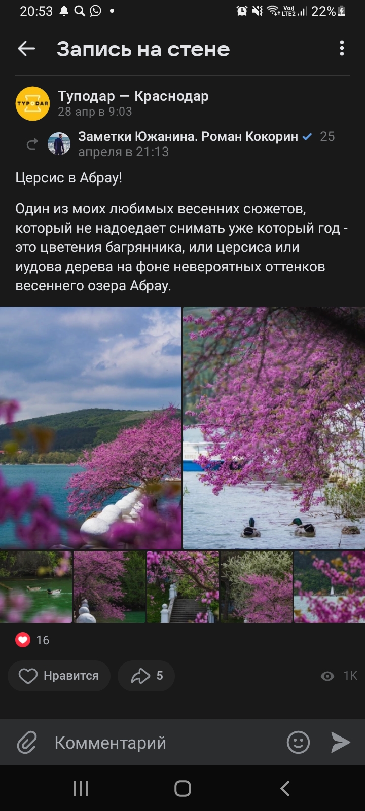 Screenshot_20230506-205320_VK.jpg