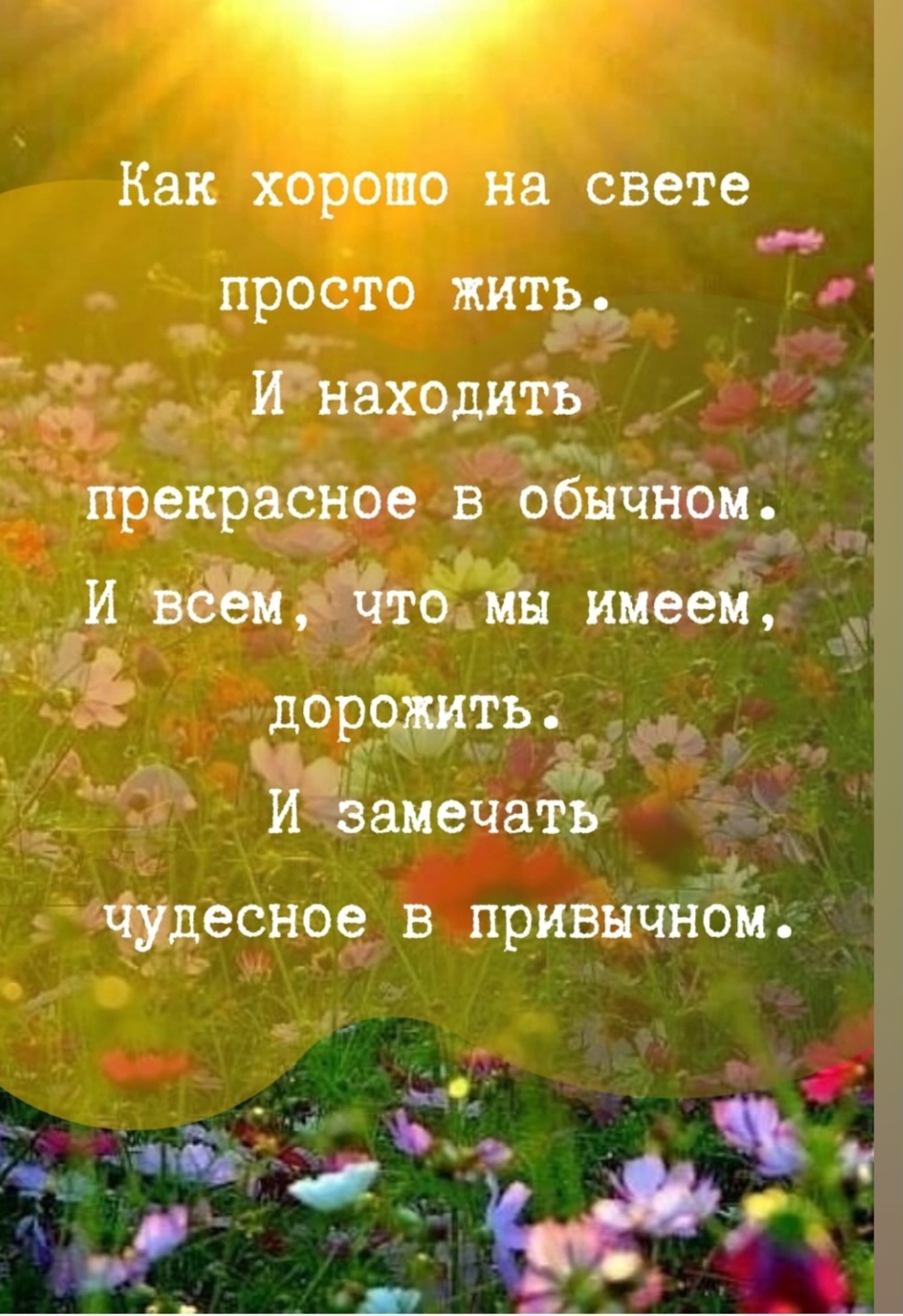 Screenshot_20230512_071827_VK.jpg