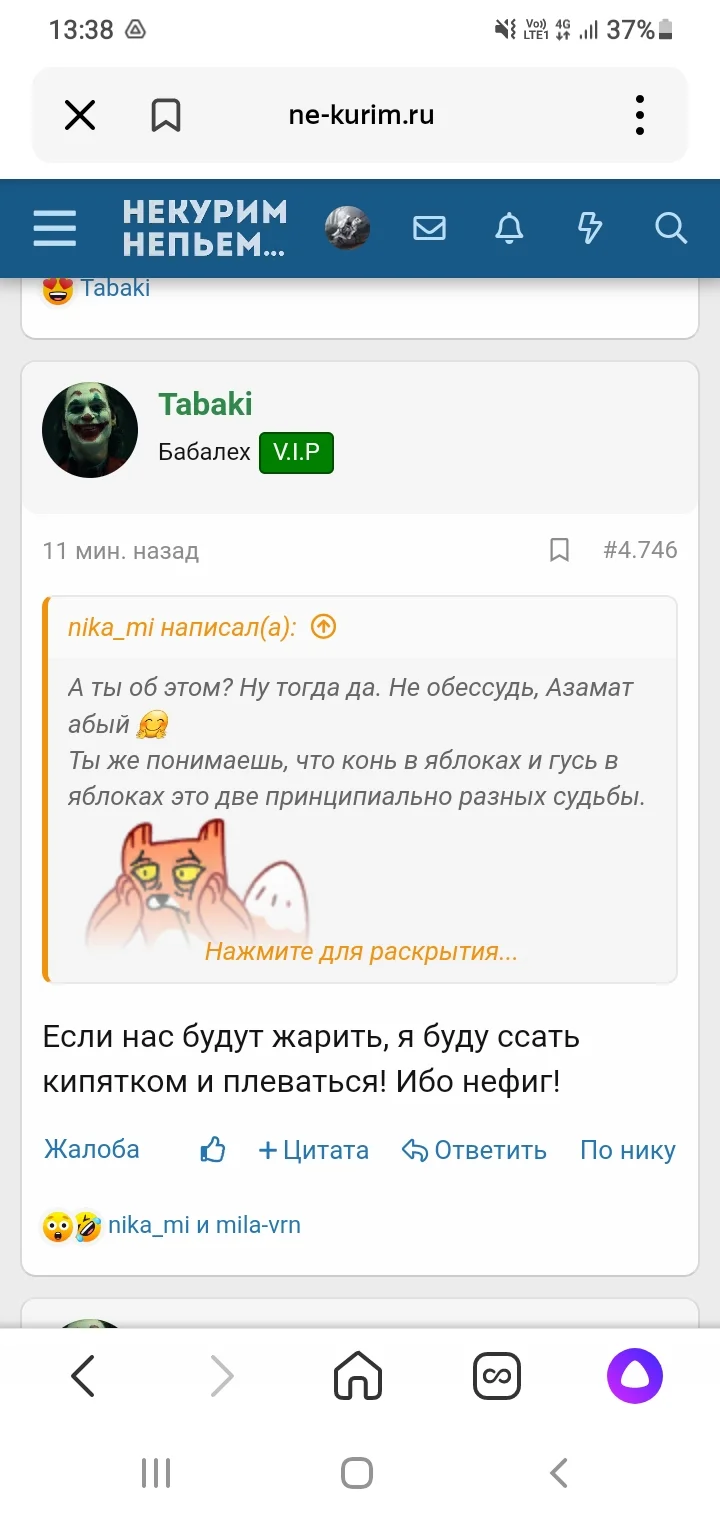 Screenshot_20230710-133856_Yandex.webp