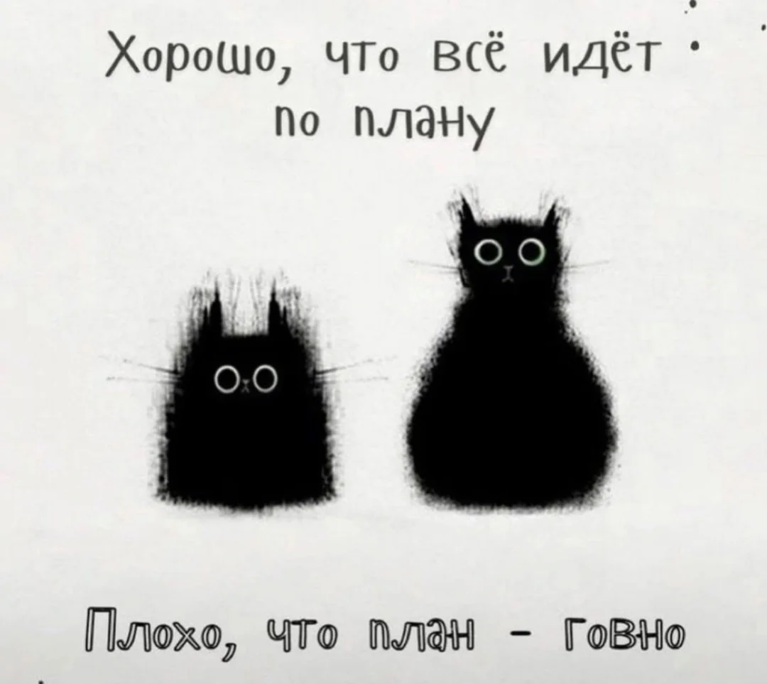 Screenshot_20230815_192439_VK.jpg