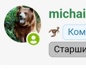 Screenshot_20231026_131427_Samsung Internet.webp