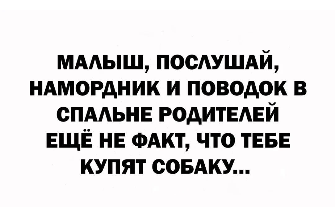 Screenshot_2024-01-08-18-08-33-139_com.vkontakte.android-edit.webp