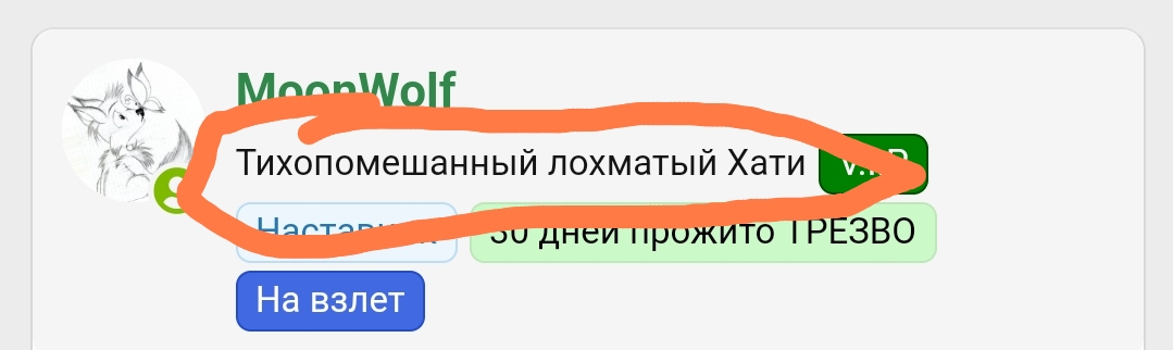 Screenshot_2024-02-02-19-09-29-005_com.yandex.browser-edit.jpg