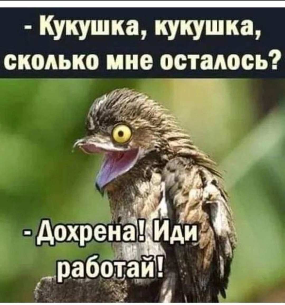 Screenshot_2024-04-29-18-59-46-273_com.vkontakte.android-edit.jpg