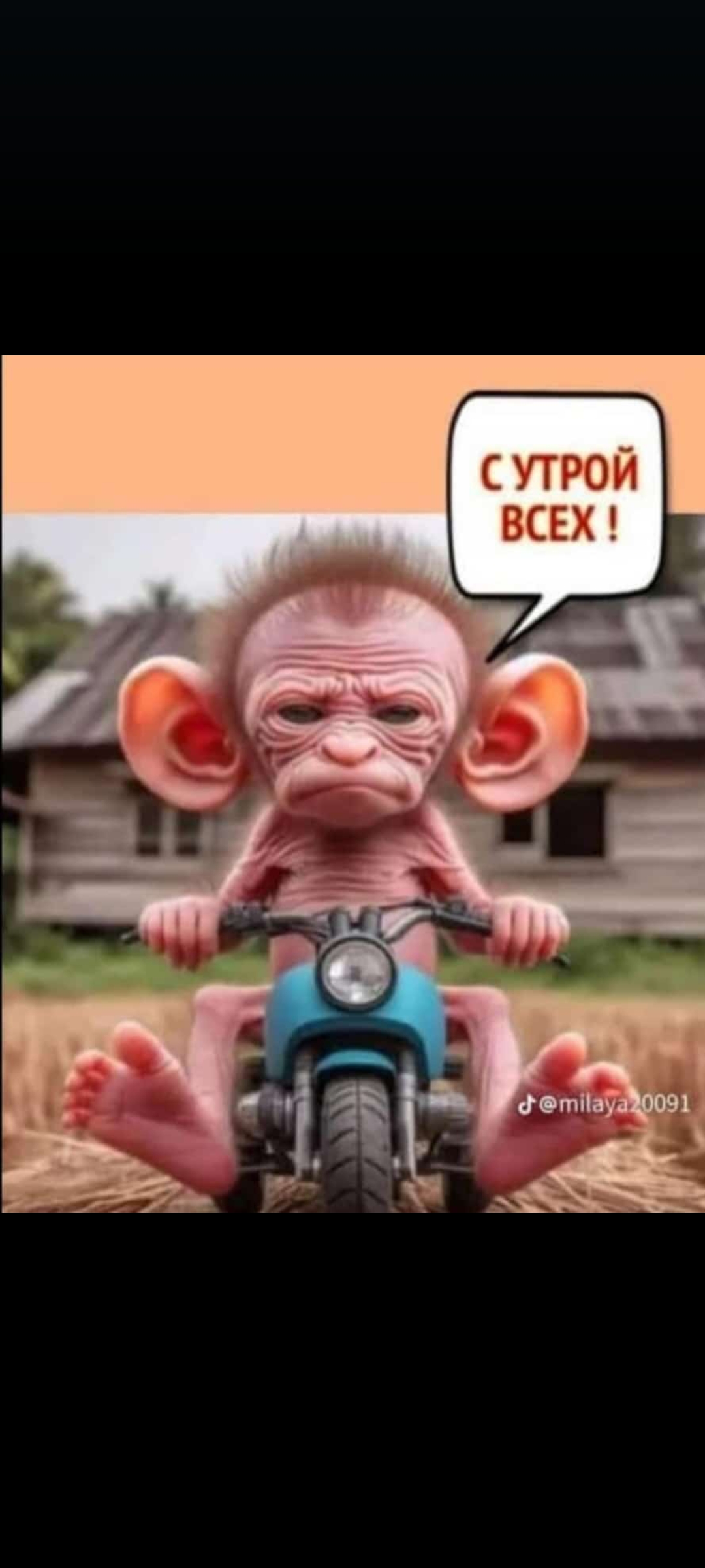 Screenshot_2024-05-29-12-14-32-585_com.whatsapp.jpg