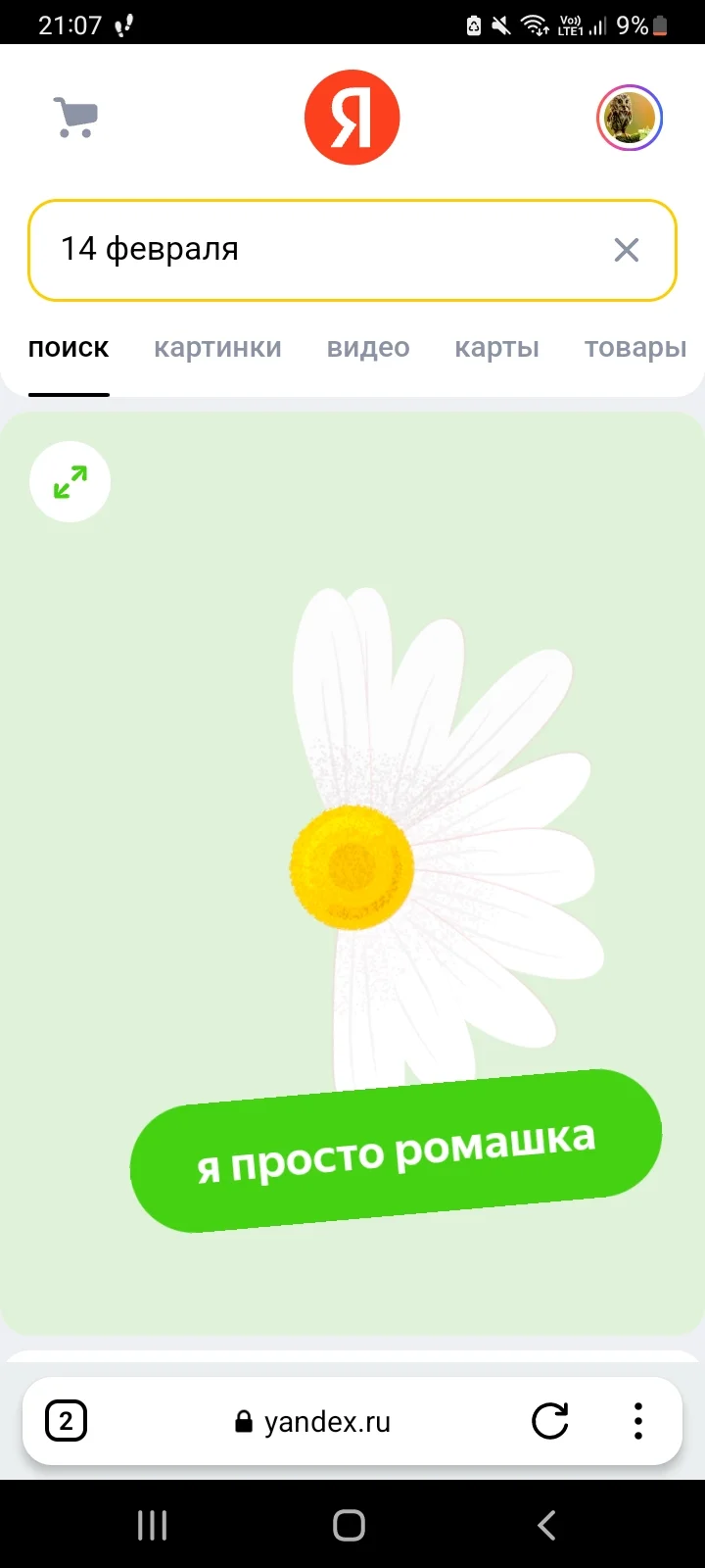 Screenshot_20240214-210728_Yandex Browser.jpg