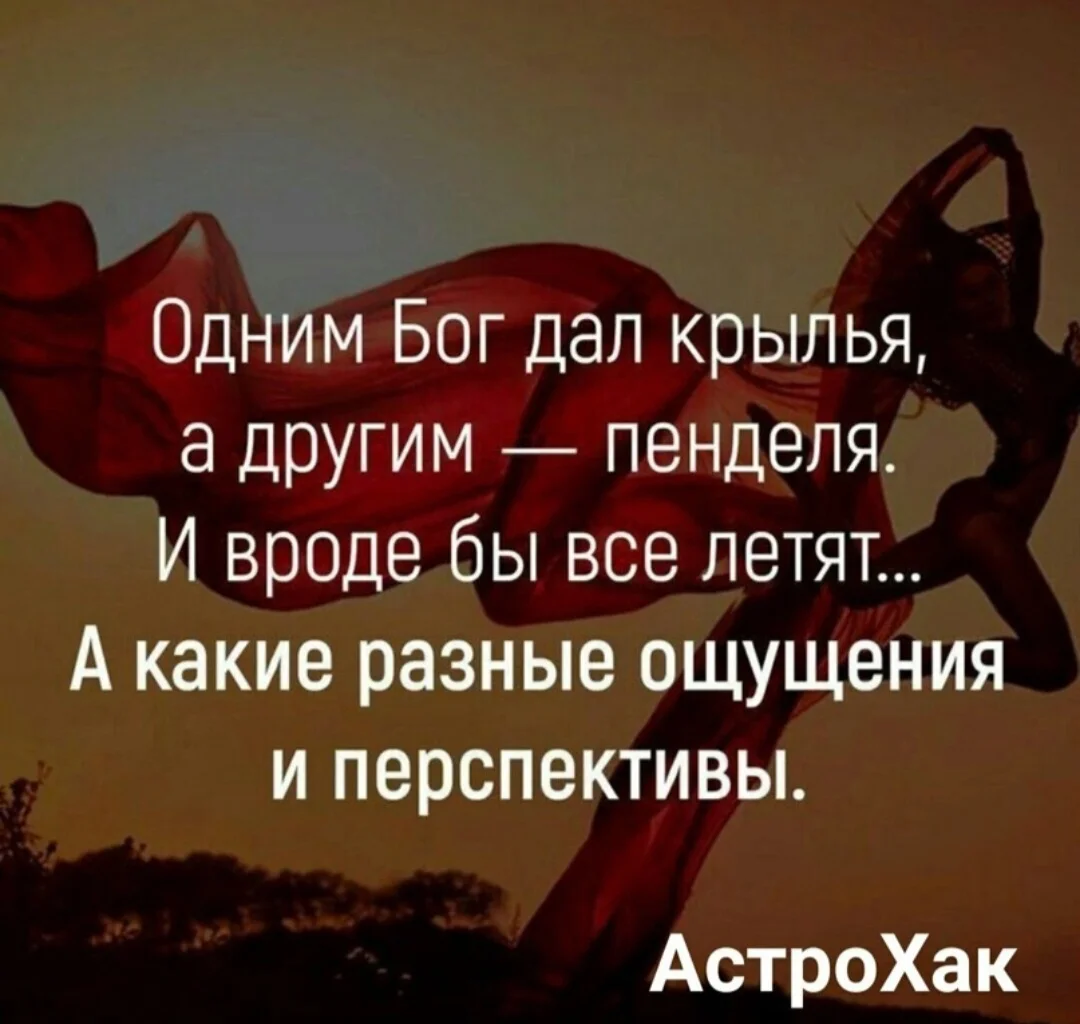 Screenshot_20240224_094506_VK.webp