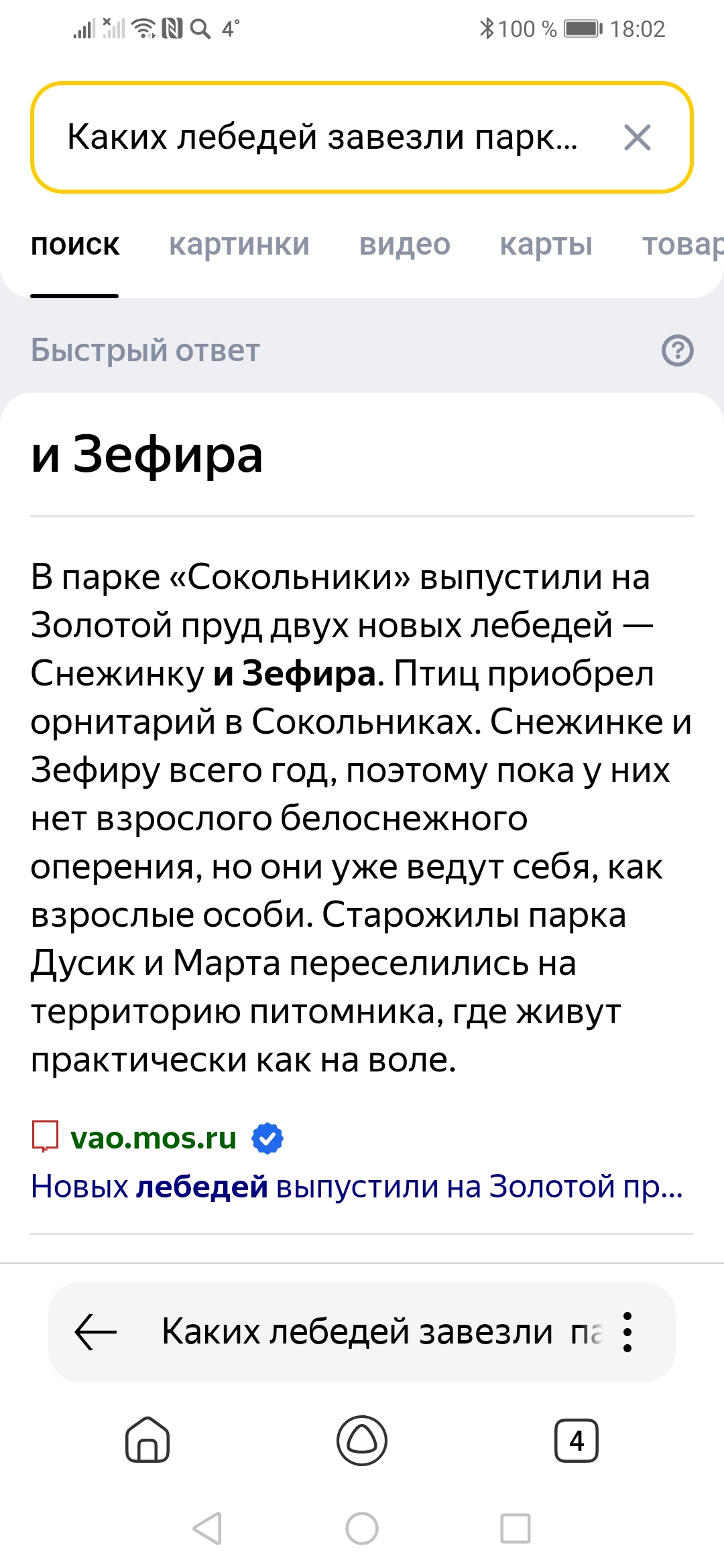 Screenshot_20240506_180216_com.yandex.searchapp.jpg