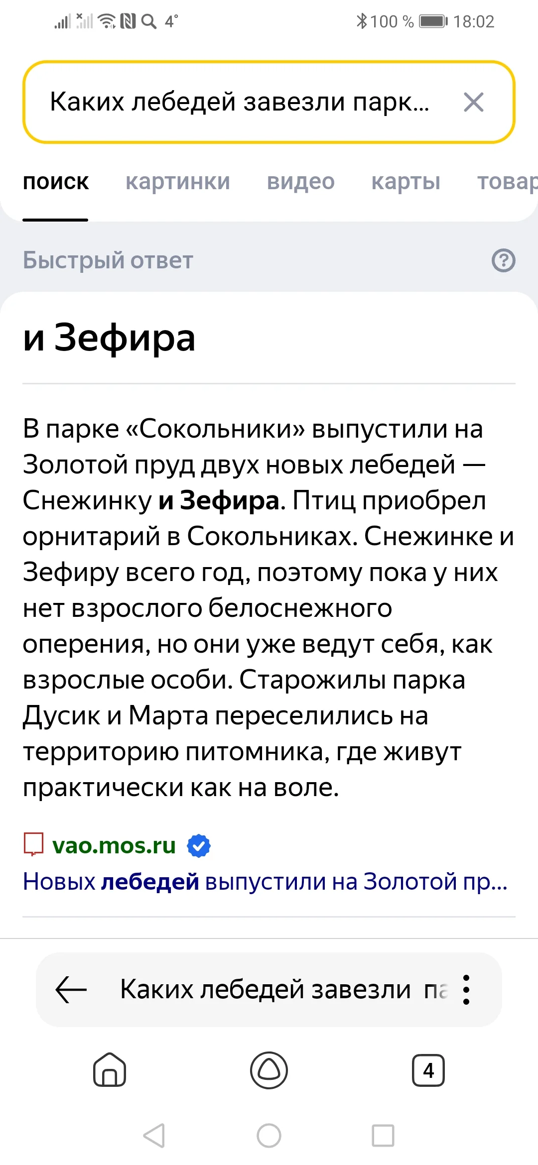 Screenshot_20240506_180216_com.yandex.searchapp.webp