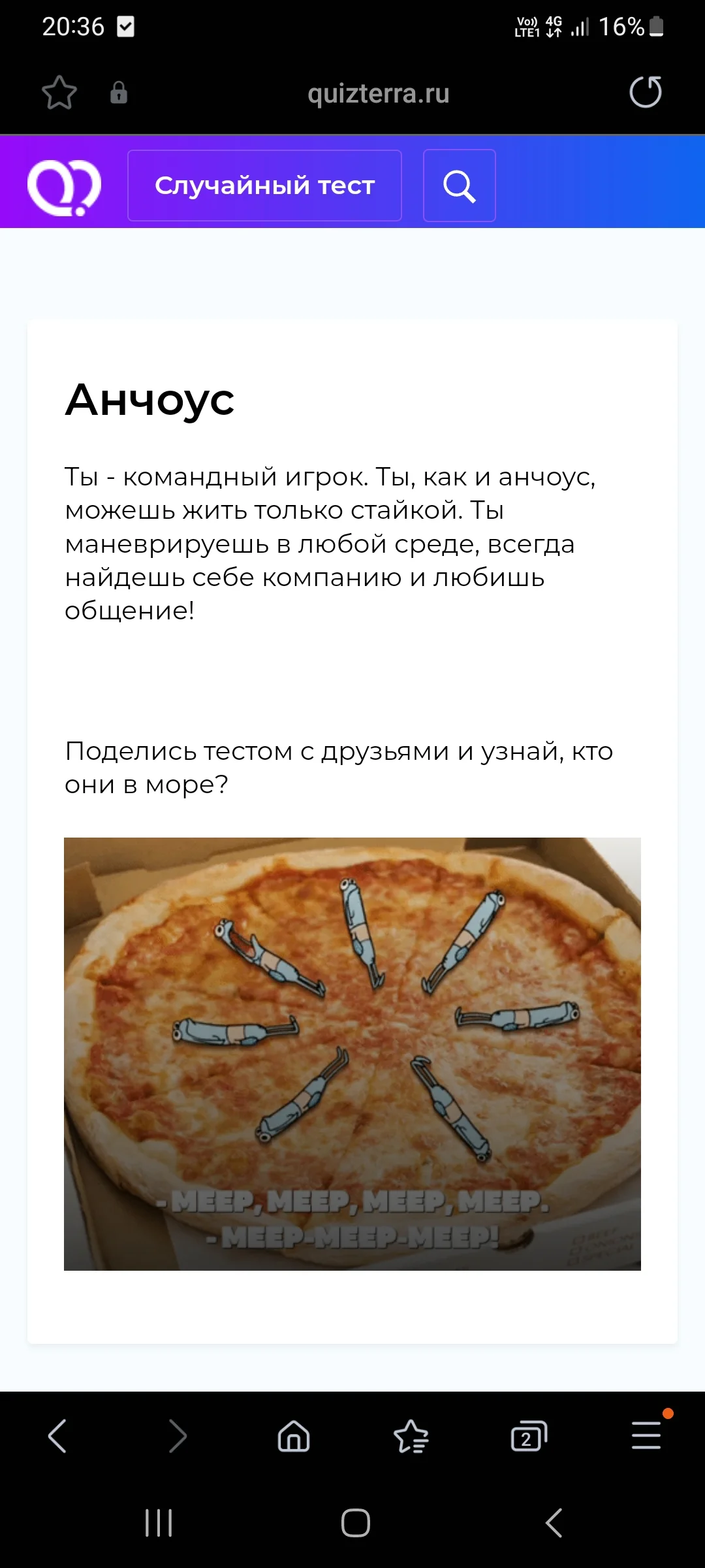 Screenshot_20240518_203647_Samsung Internet.webp