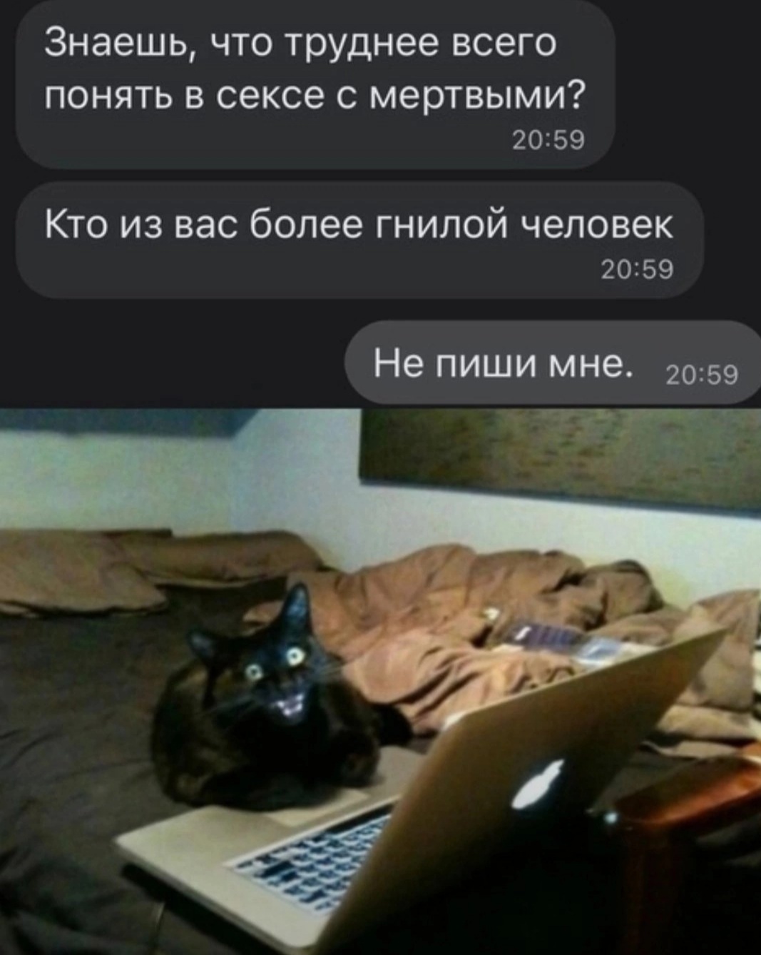 Screenshot_20240530-195451_VK.jpg