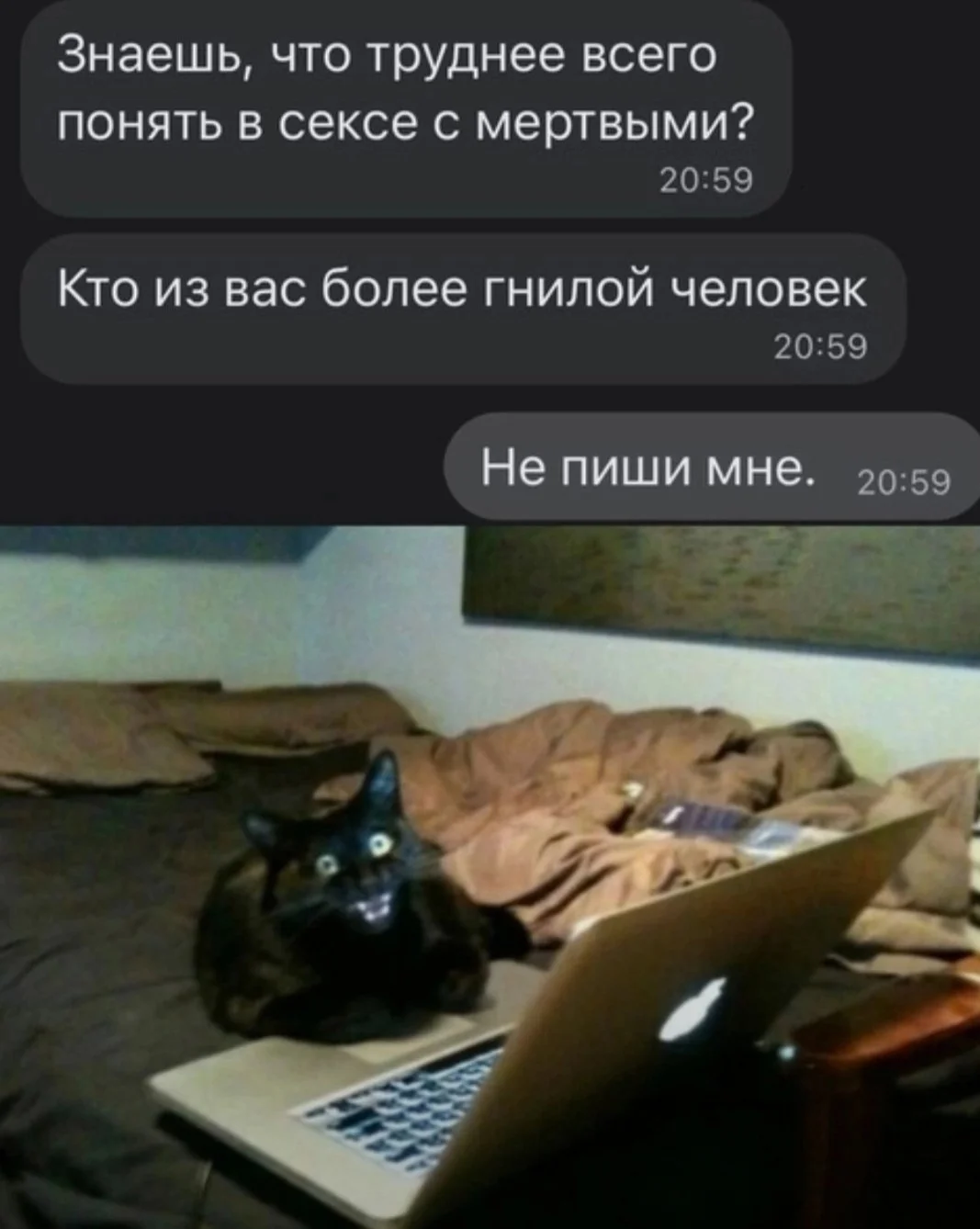 Screenshot_20240530-195451_VK.webp