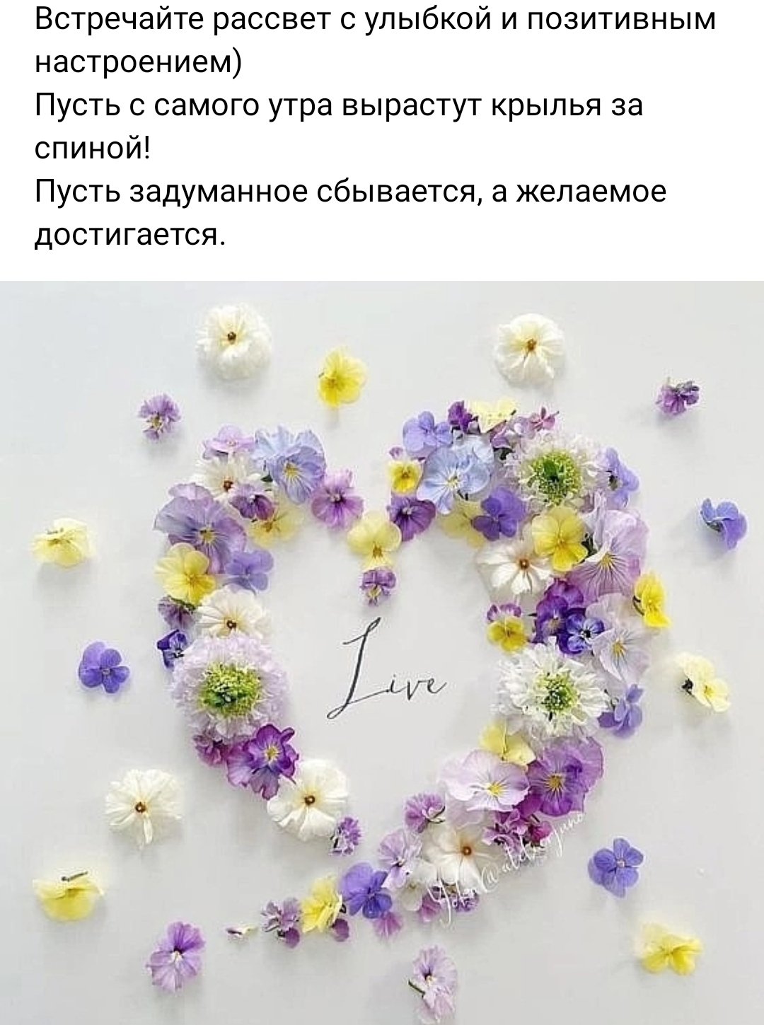 Screenshot_20240604-080908.jpg