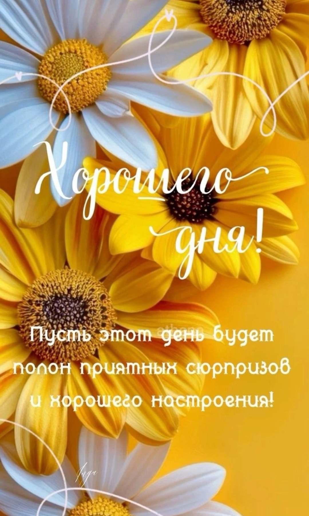 Screenshot_20240606-064711.jpg