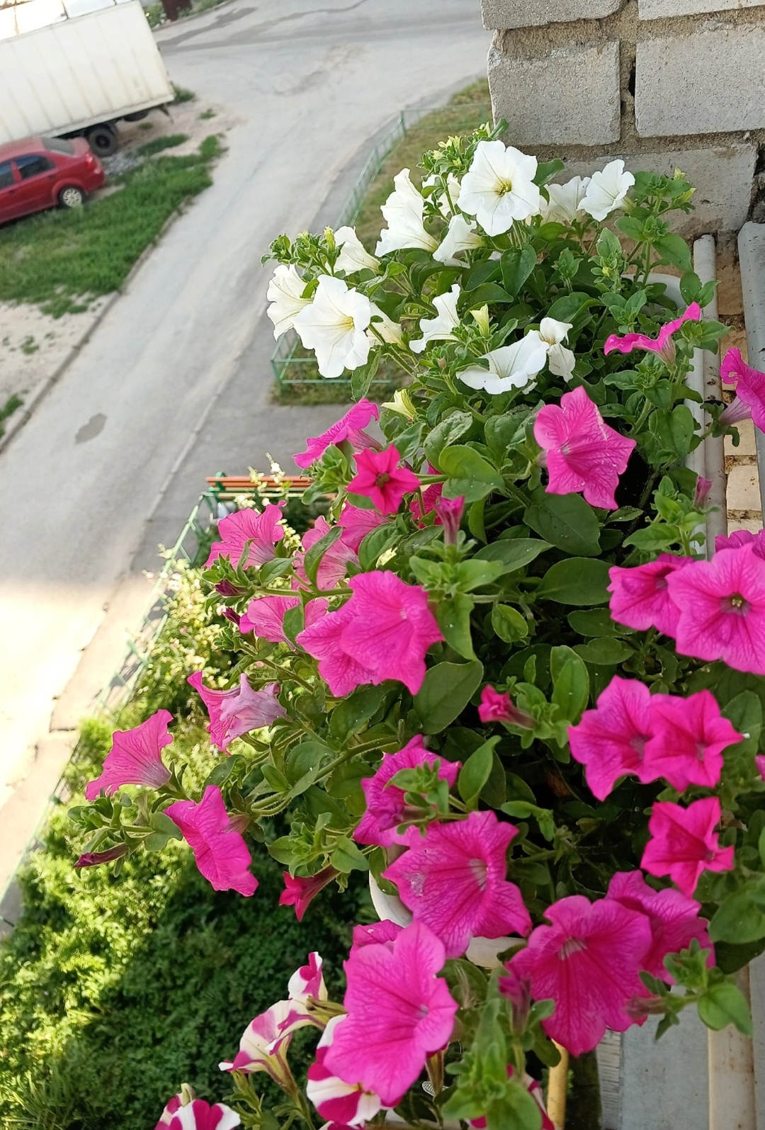 Screenshot_20240607-183933.jpg