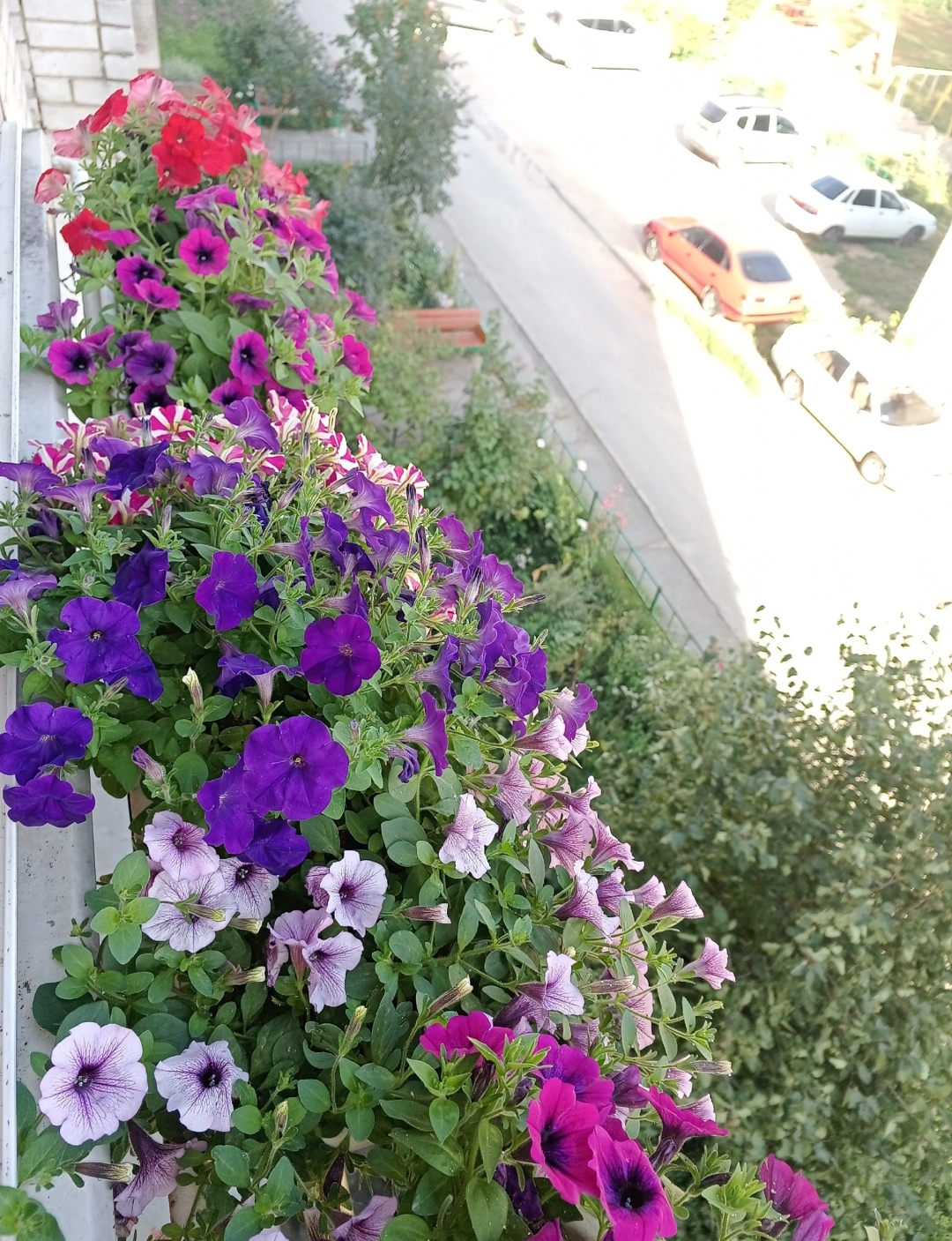 Screenshot_20240607-184024.jpg