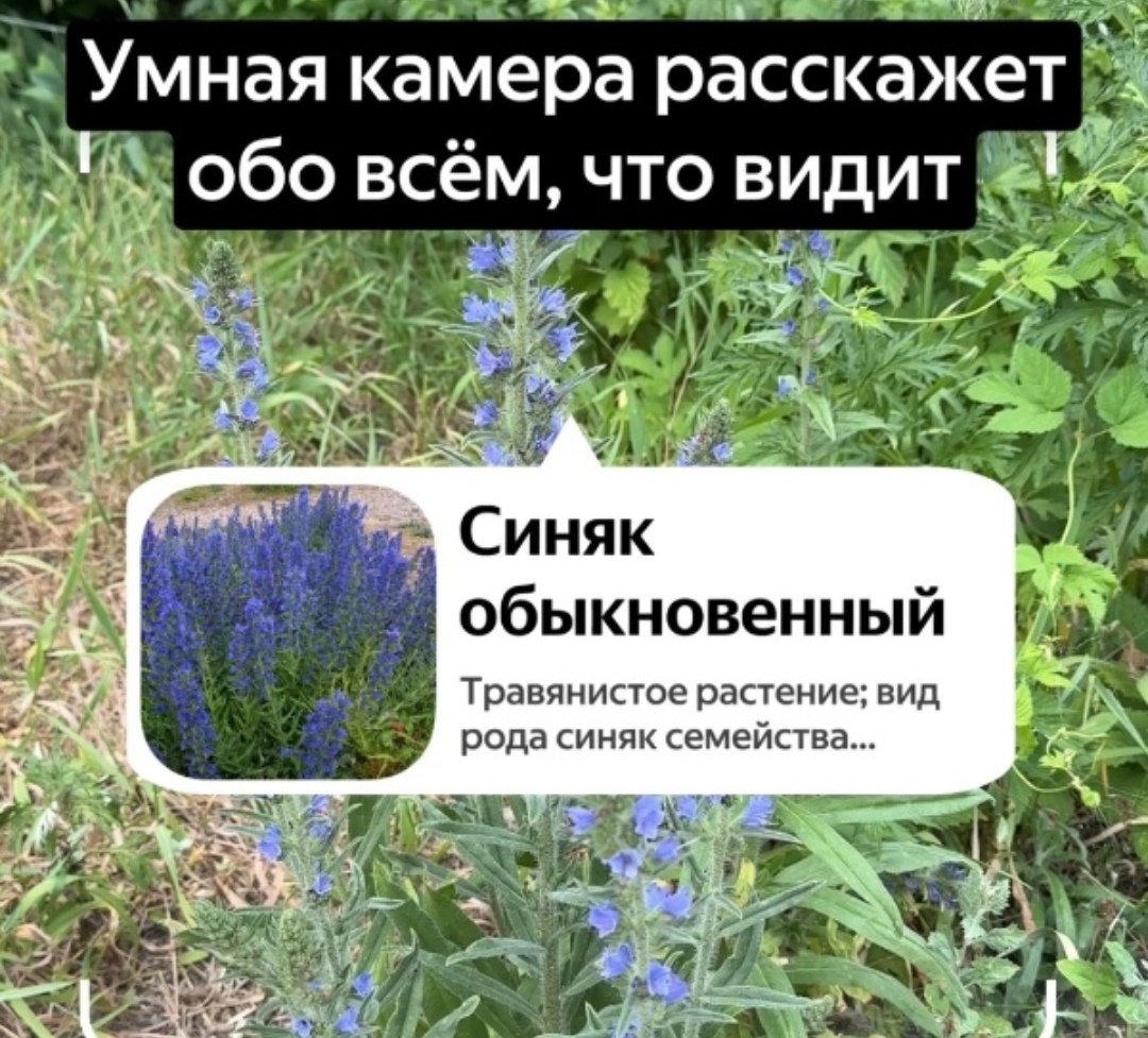 Screenshot_20240701_165027_com.vkontakte.android_edit_1063249800111181.jpg