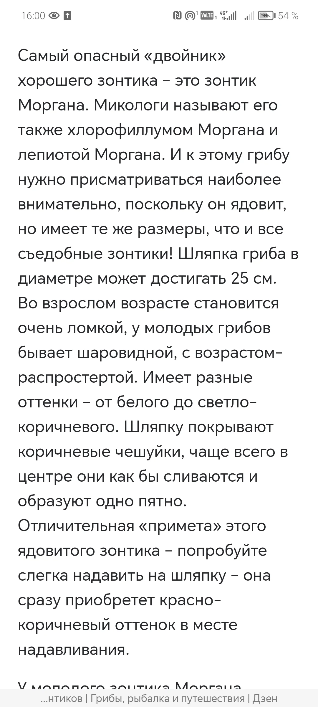 Screenshot_20240823_160018_com.yandex.browser.webp