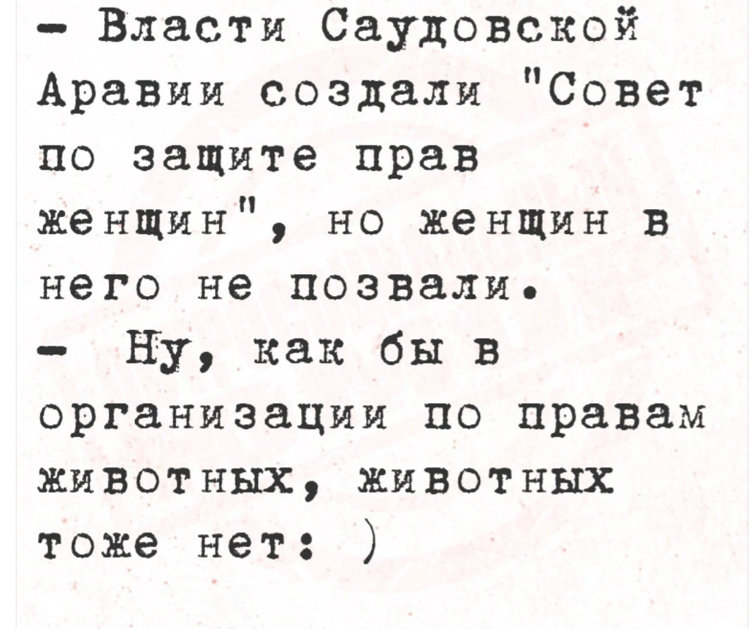 Screenshot_20241013_184922_VK.jpg